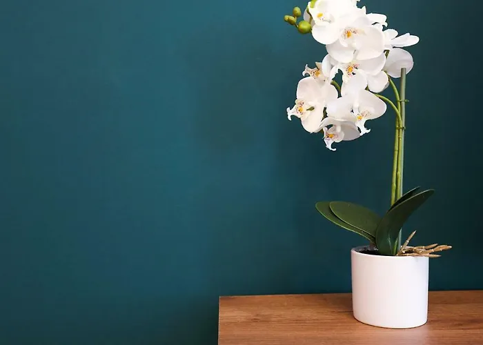 דירה Unirii Old Square 4