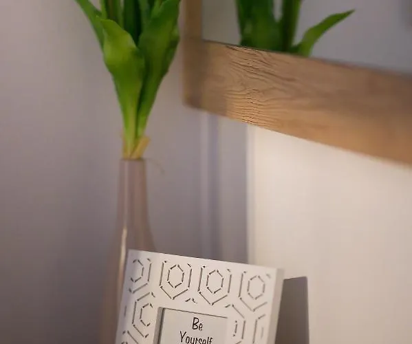 Unirii Old Square 4 דירה *