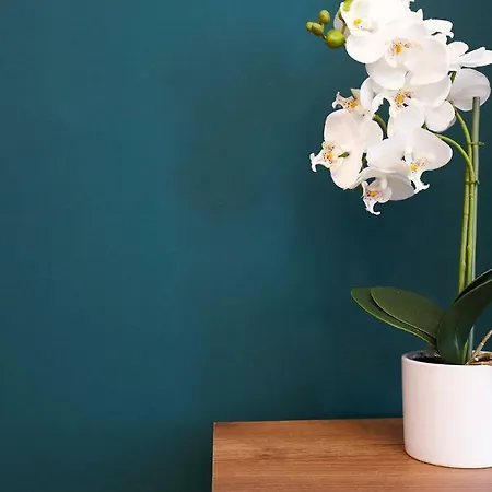 Lejlighed Unirii Old Square 4